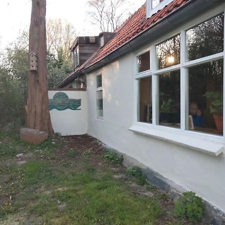 Vogelvrij Villa Vierhuizen Exteriör bild