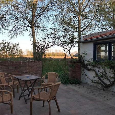 Vogelvrij Villa Vierhuizen Exteriör bild