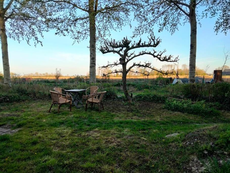 Vogelvrij Villa Vierhuizen Exteriör bild