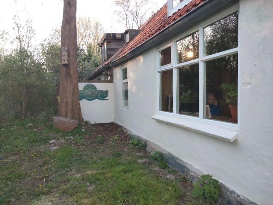 Vogelvrij Villa Vierhuizen Exteriör bild