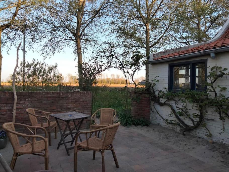 Vogelvrij Villa Vierhuizen Exteriör bild
